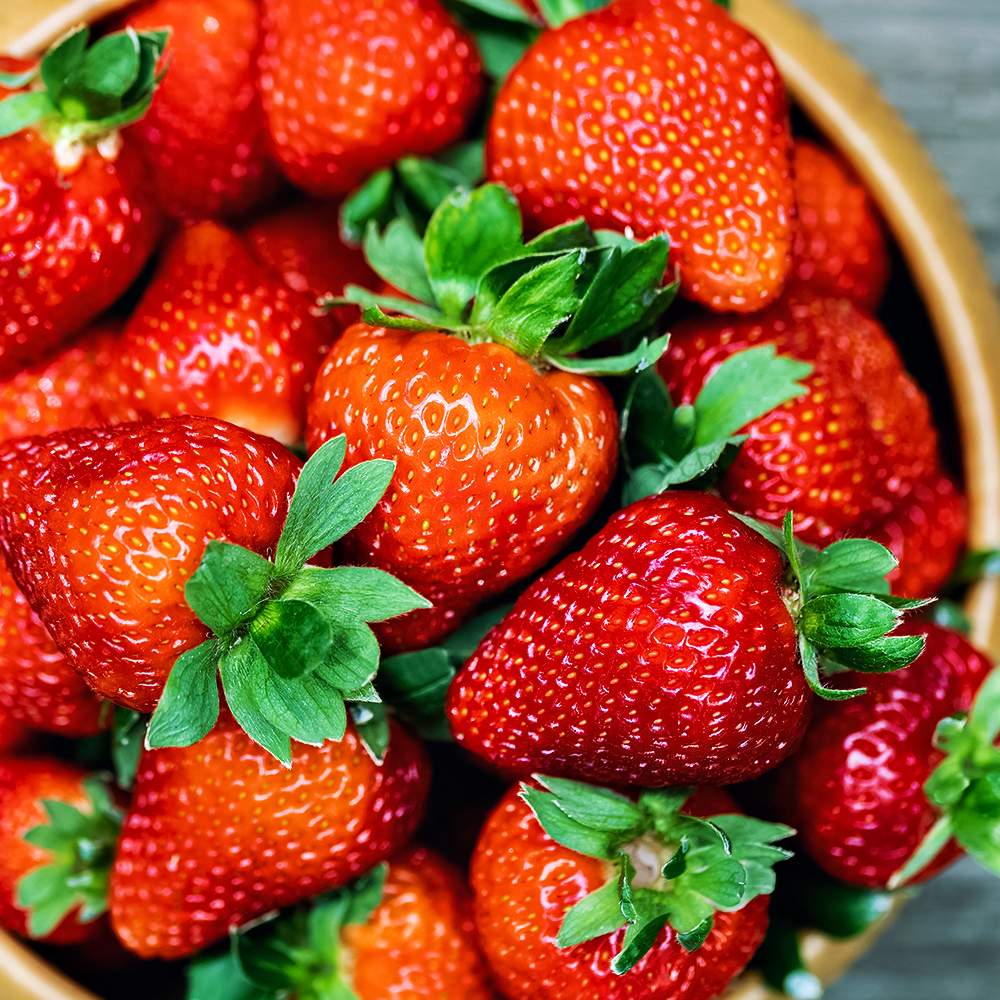 Клубника ремонтантная "Брина" Fragaria ananassa "Brina"