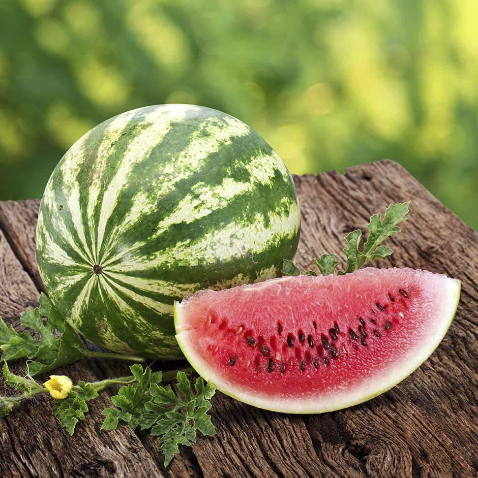 Арбуз "АУ Продюссер" Citrullus lanatus "AU-Producer"