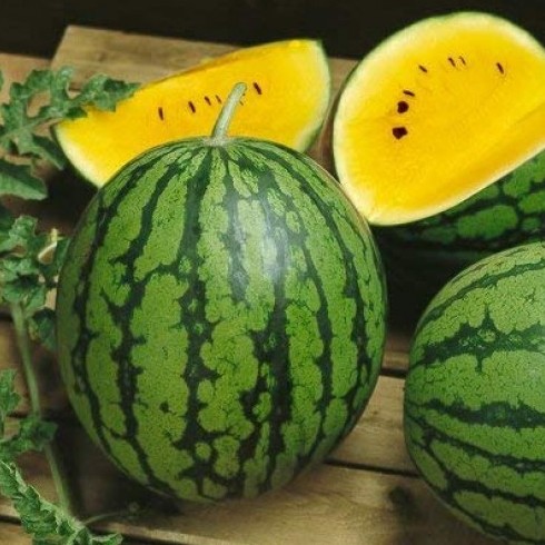 Арбуз "Сюрприз" Citrullus lanatus "Surprise"