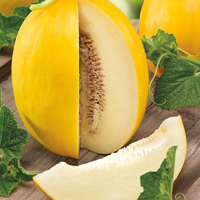 Дыня "Дина" Cucumis melo "Dinа"