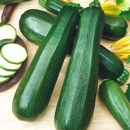 Кабачок «Аэронавт» Cucurbita pepo var. giromontina "Aeronauta"