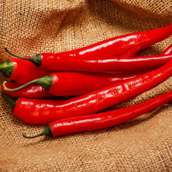 Перец острый "Астраханский" Capsicum annuum "Astrakhanskiy" Р9